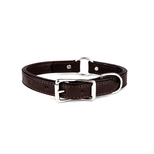 Leather Chocolate Brown Center Ring Dog Collar
