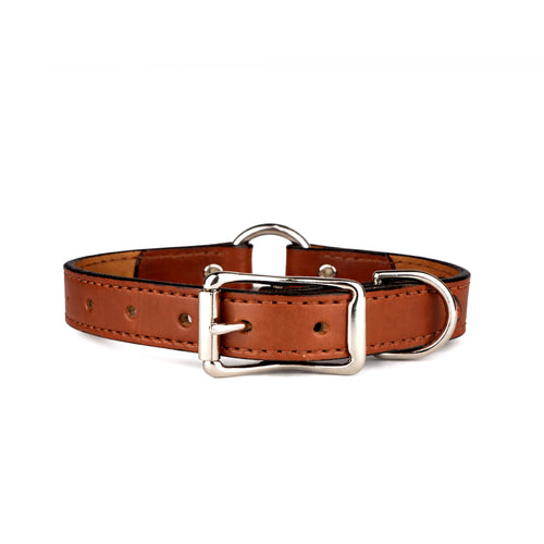 Leather Brown Center Ring Dog Collar