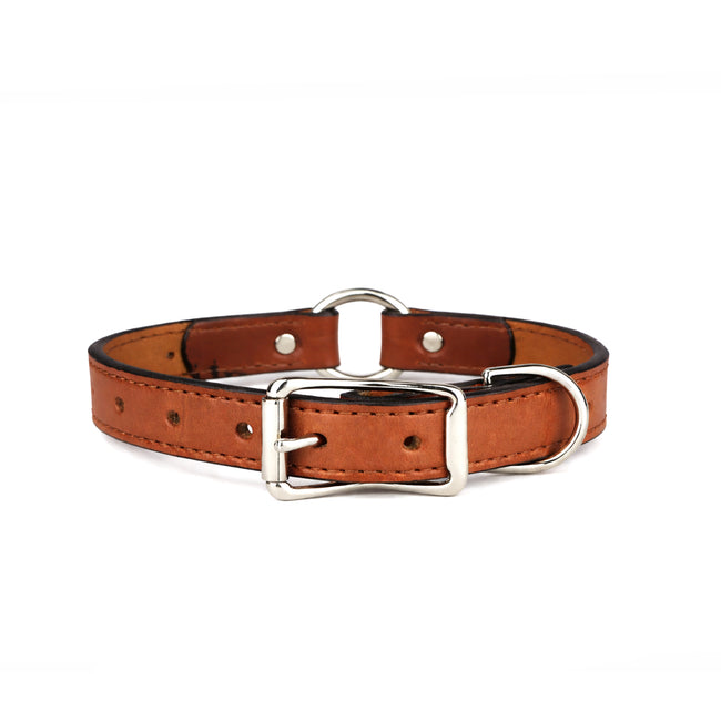 Leather Brown Center Ring Dog Collar