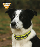 Tactical Center Ring Reflective Dog Collar