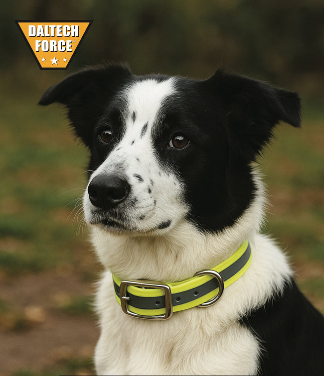 Tactical Reflective Dog Collar