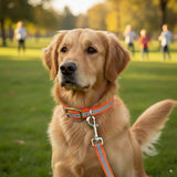 Tactical Reflective Skinny Dog Leash 3/4