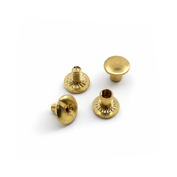 Chicaga Screws - 2 Pack Replacement