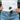 White Sideloader™ Belly Band Holster